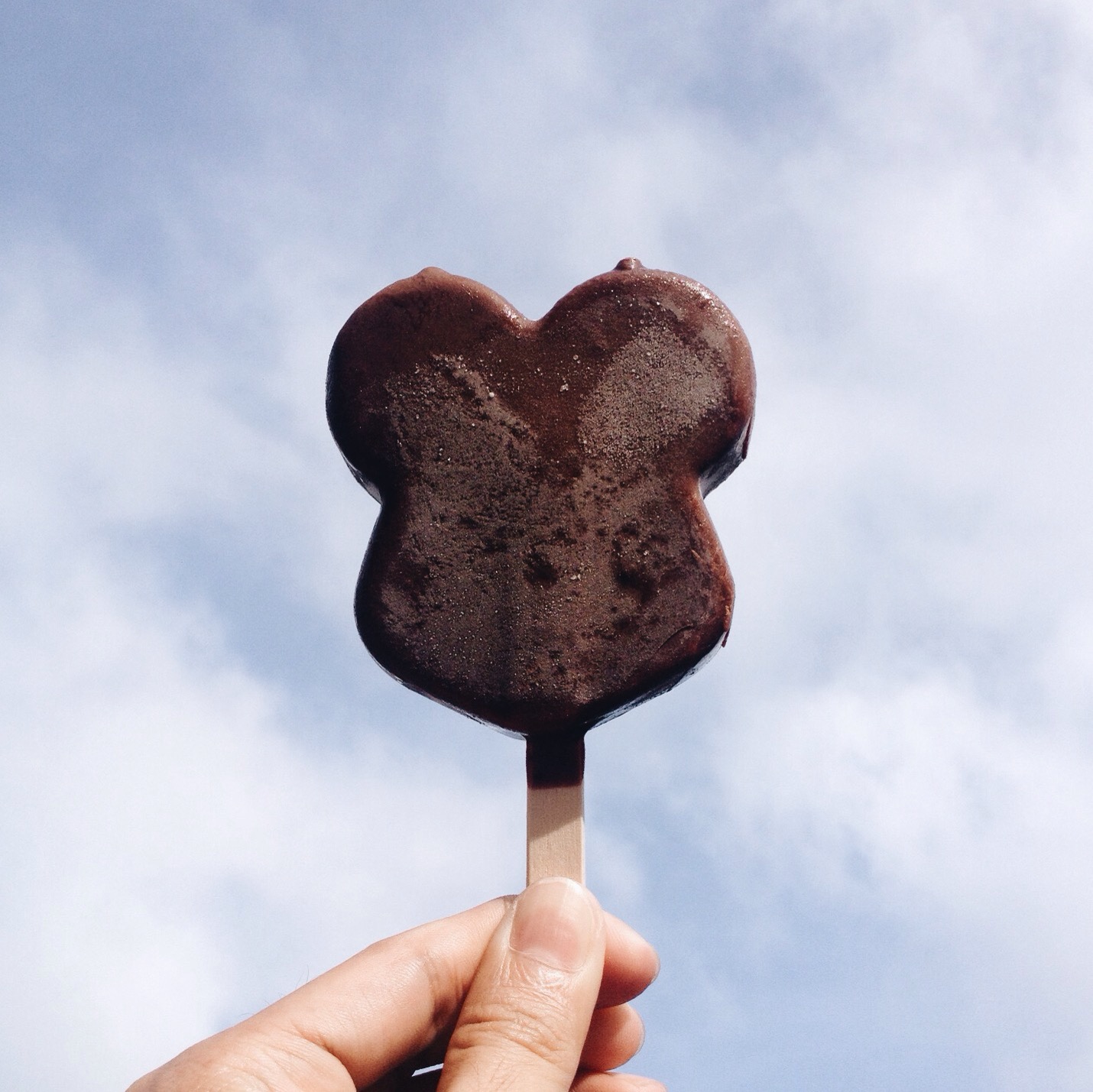Mickey Mouse Ice Cream Bar Walt Disney World