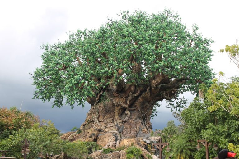 Walt Disney World's Animal Kingdom Tree of Life