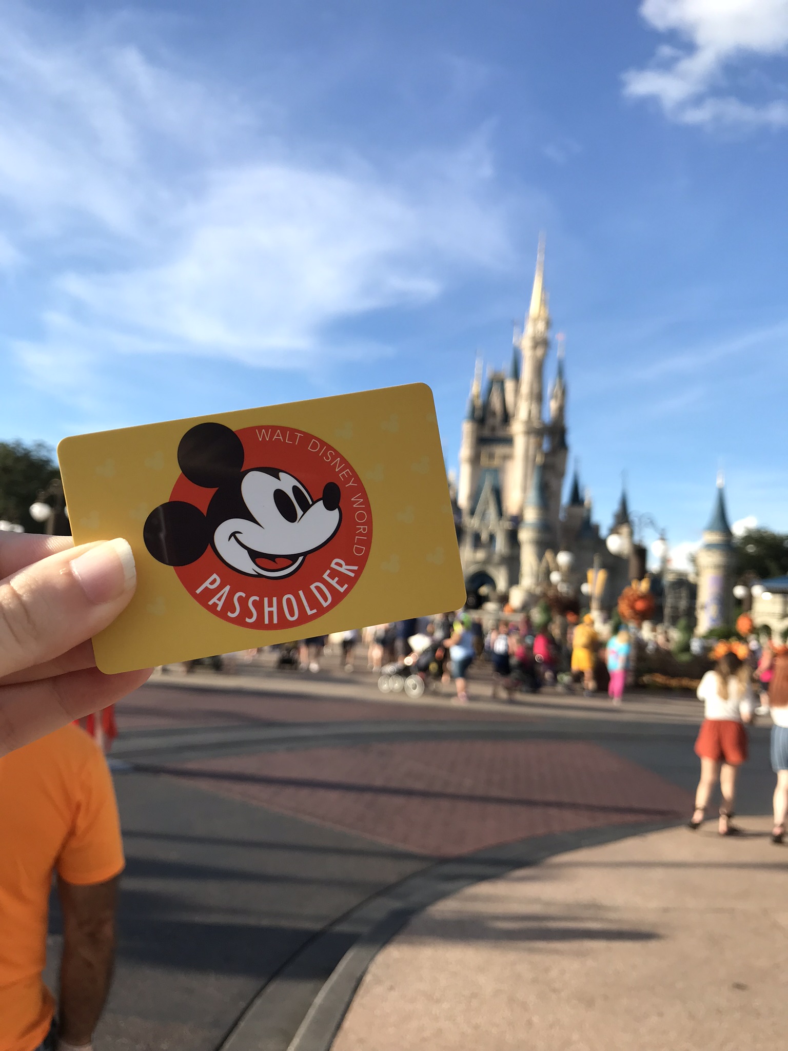 Disney Annual Passholder Magic Kingdom Walt Disney World
