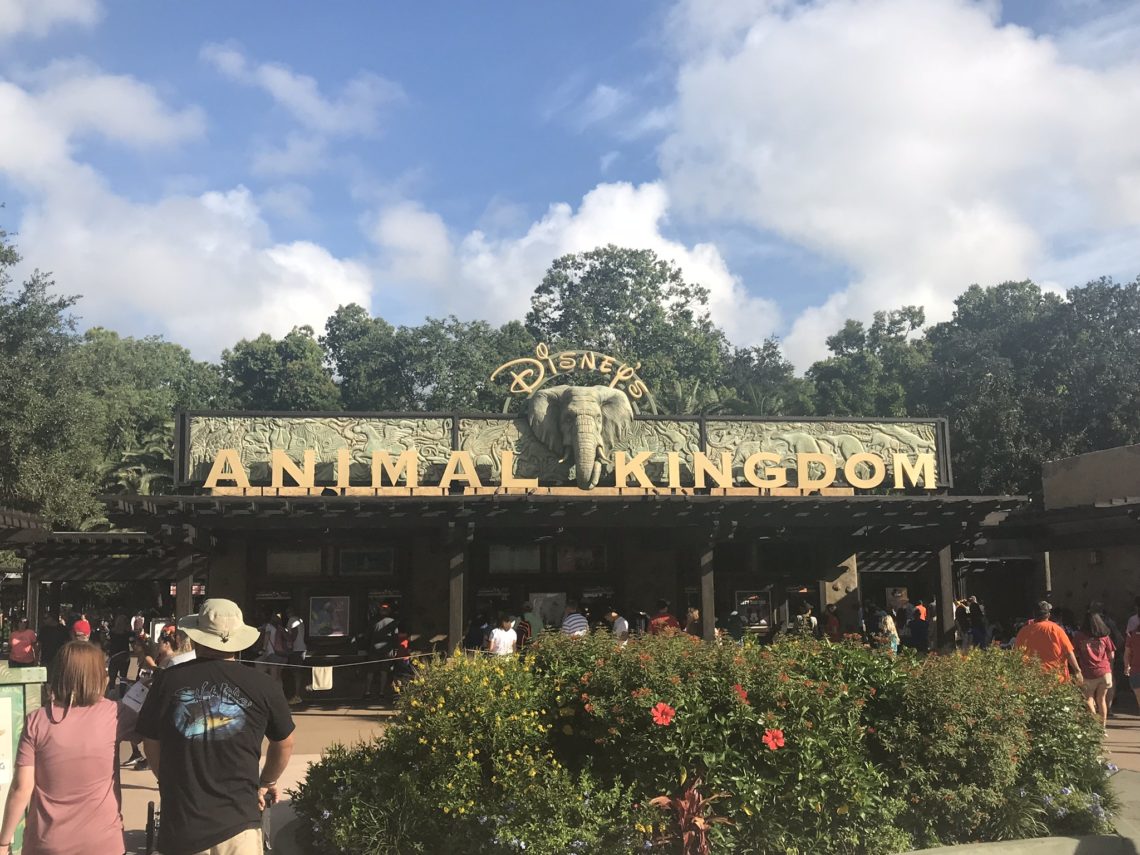 Animal Kingdom Disney