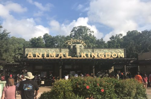 Animal Kingdom Disney