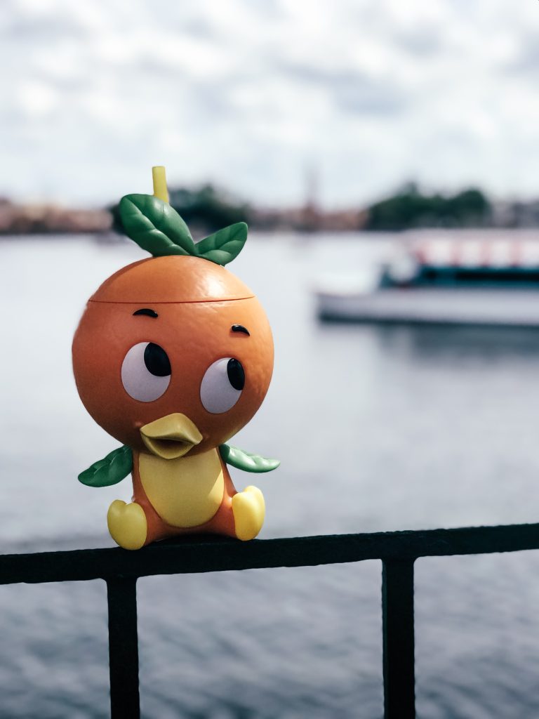 Epcot's International Flower and Garden Show Florida Orange Bird