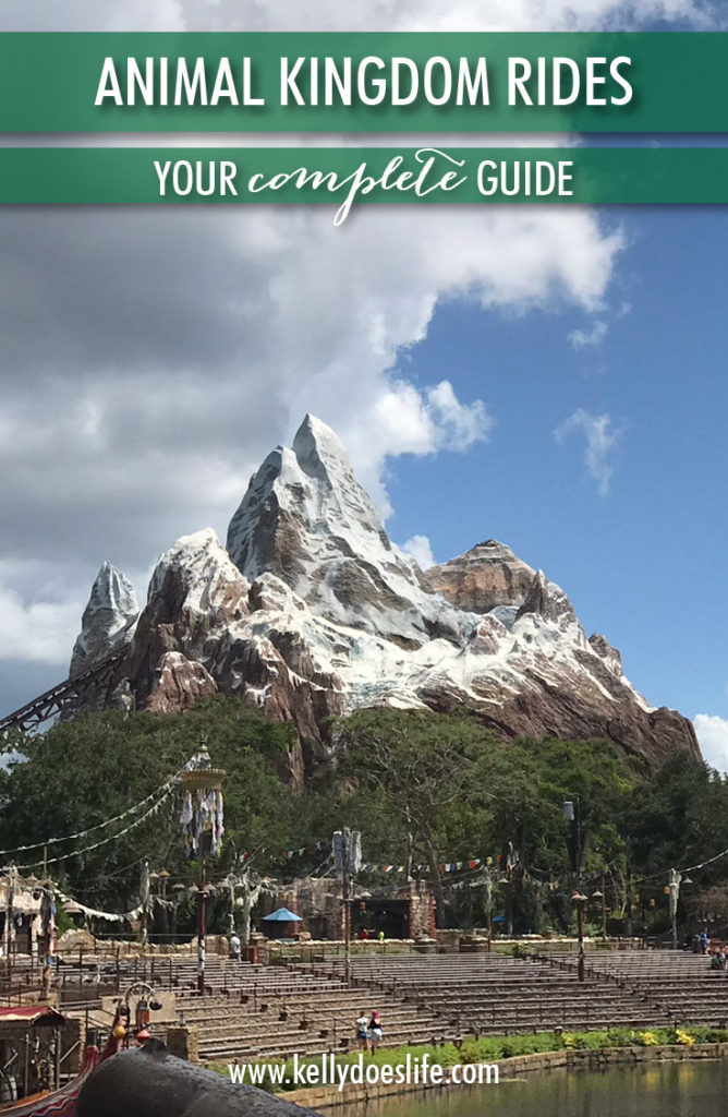 Complete Guide to Animal Kingdom Rides - Kelly Does Life