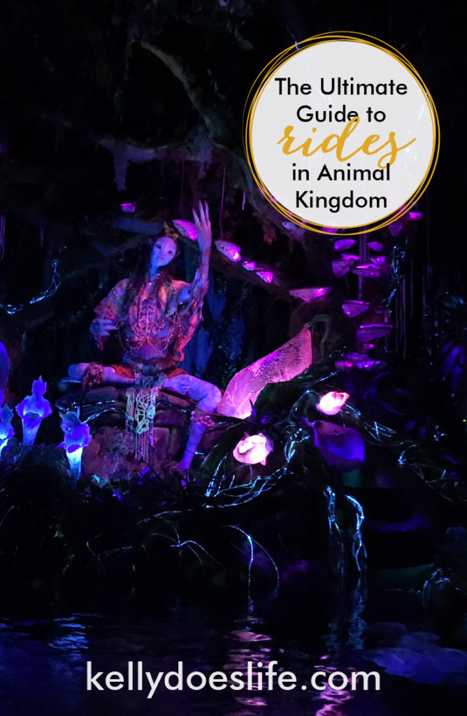 Complete Guide to Animal Kingdom Rides - Kelly Does Life