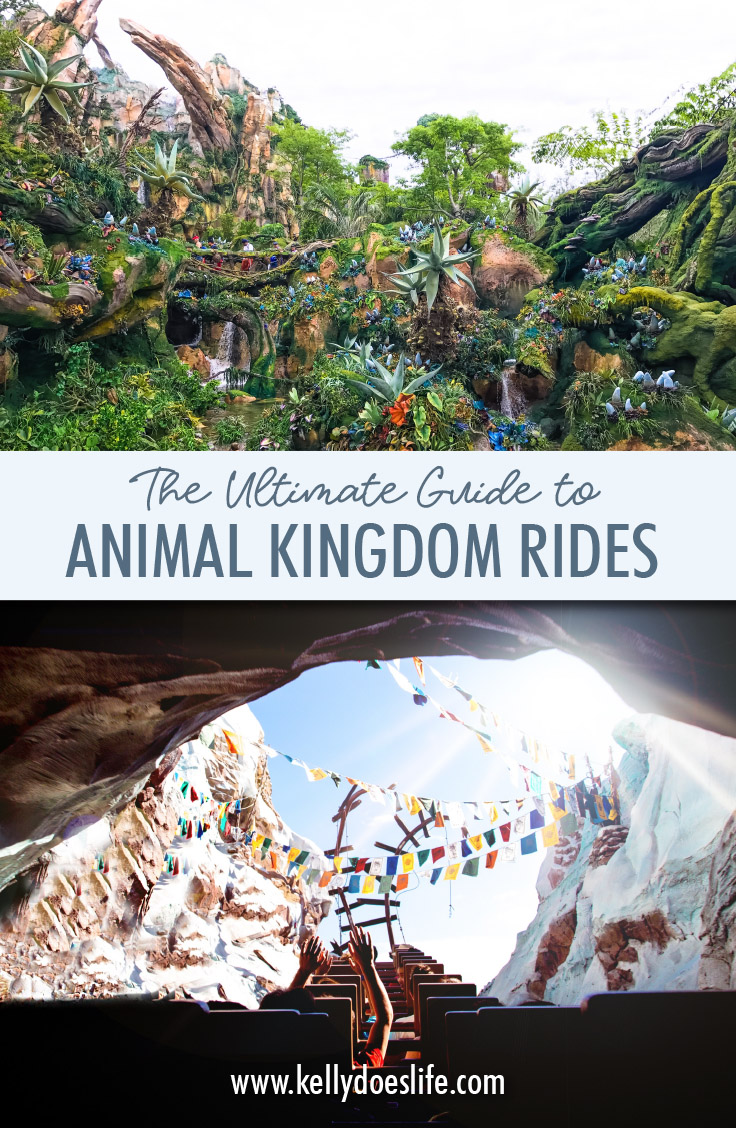 Animal Kingdom Rides Disney World